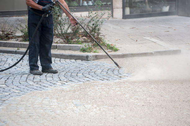 Animal Enclosure Cleaning in Mccook, NE